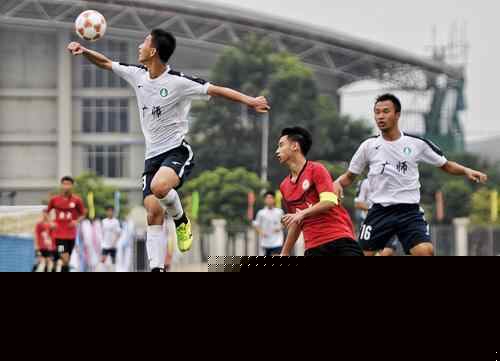 从铁人杯看各队：沪京苏争冠军！山东有四强实力，福建河南保级